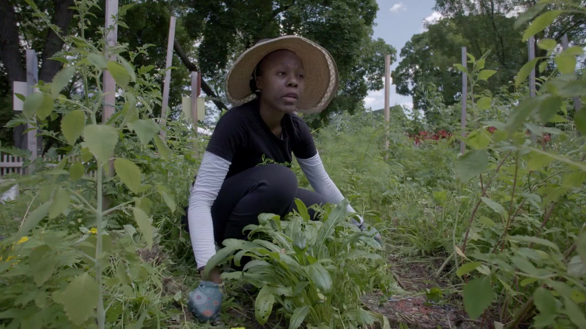 Grow Eat & Learn